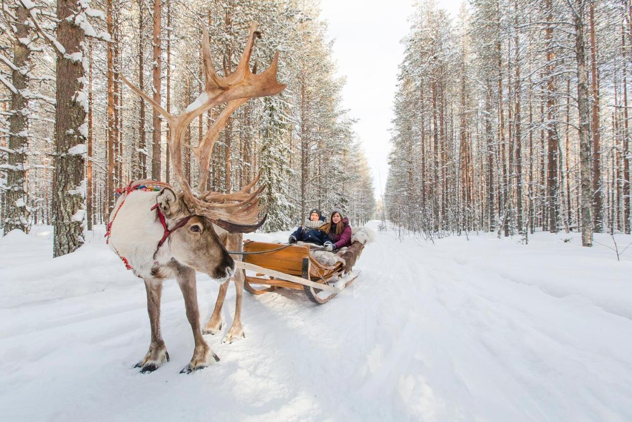Hotel Aurora Nest – Eco Glass Igloo Rovaniemi Esterno foto