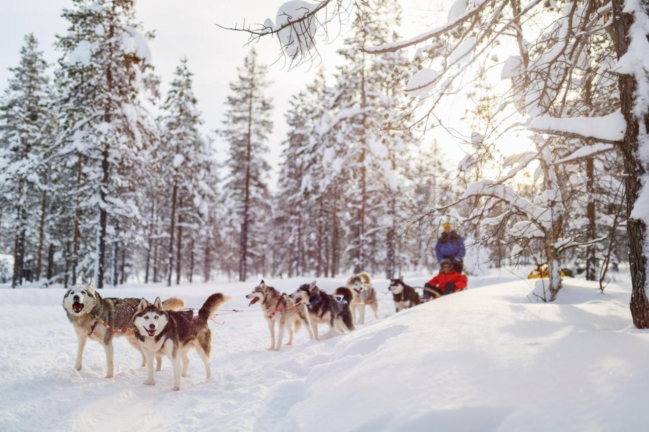 Hotel Aurora Nest – Eco Glass Igloo Rovaniemi Esterno foto